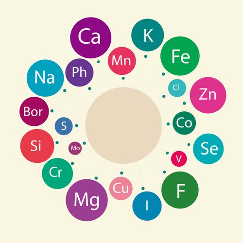 什么是微量元素的相关图片